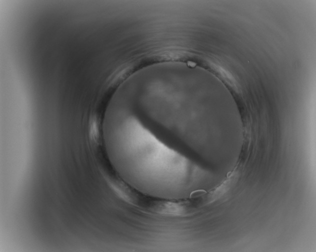 X0000115390166200911101459