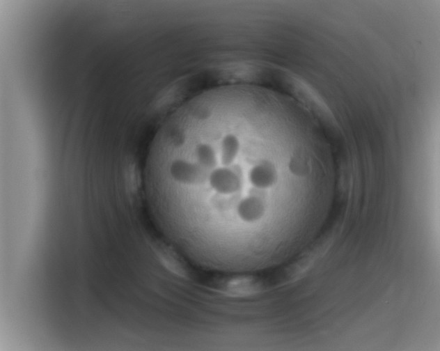 X0000115390173200911101459