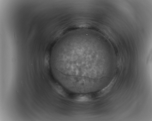 X0000115390175200911101459