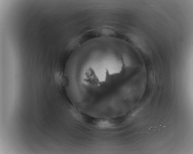 X0000115390177200911101459