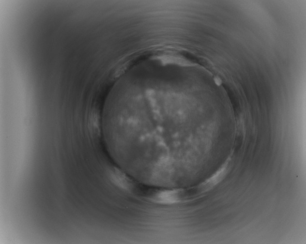 X0000115390178200911101459