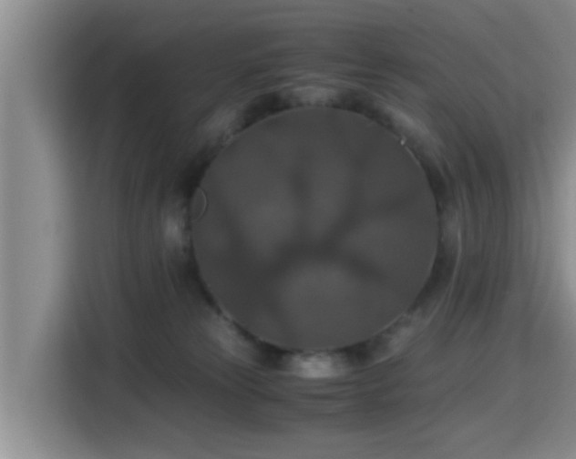 X0000115390181200911101459