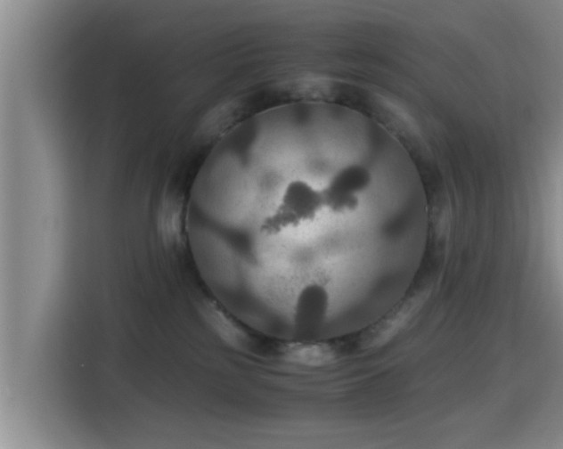 X0000115390185200911101459
