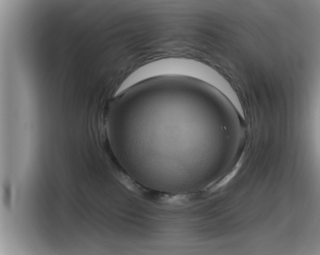 X0000115390186200911101459