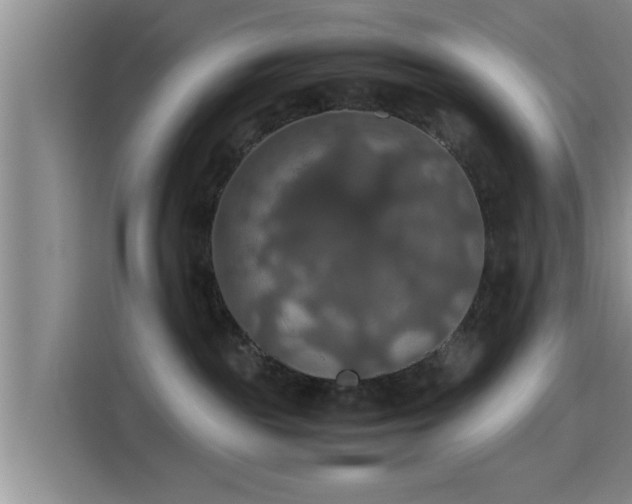 X0000115390189200911101459