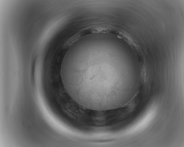 X0000115390191200911101500