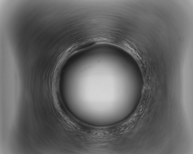 X0000115390193200911101459