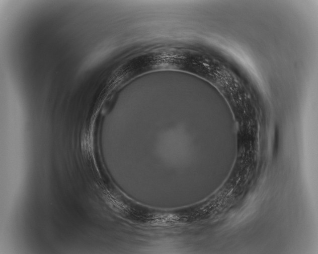 X0000115390195200911101459