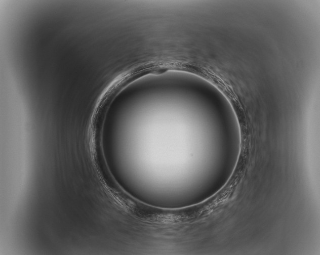 X0000115390197200911101459