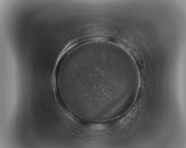 X0000115390198200911101459