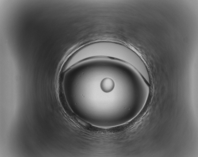 X0000115390199200911101459