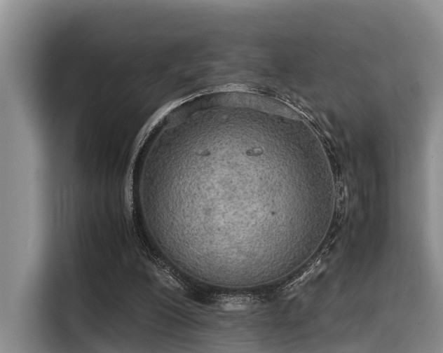 X0000115390200200911101459