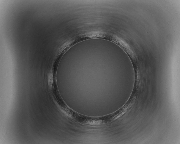 X0000115390202200911101459