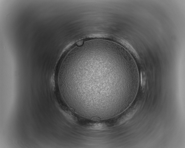 X0000115390204200911101459