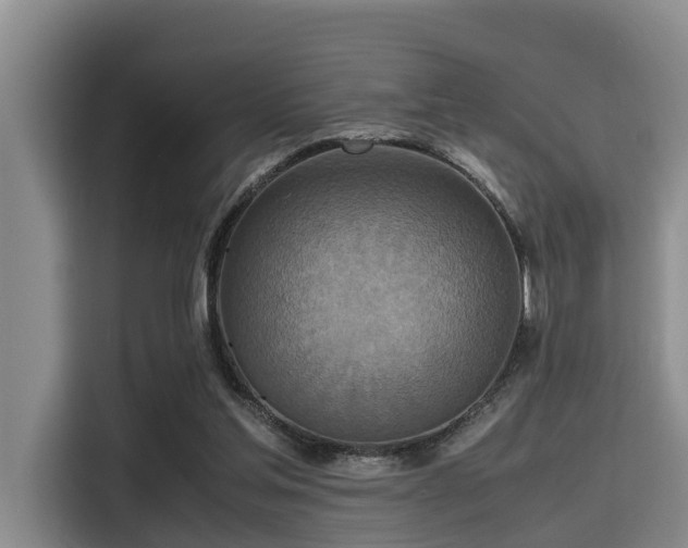 X0000115390205200911101459