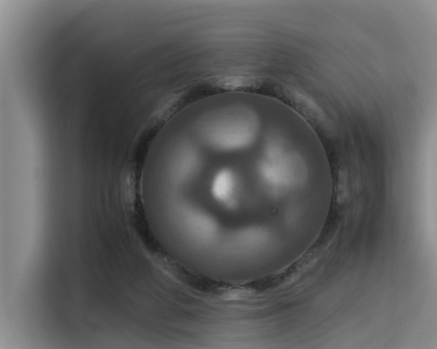 X0000115390210200911101459