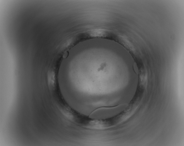 X0000115390211200911101459