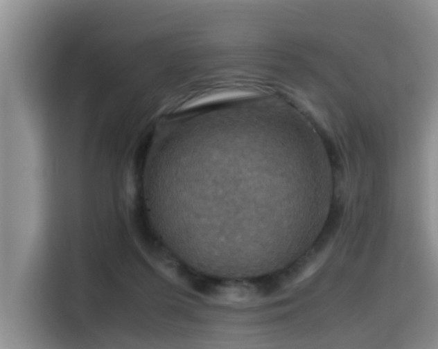 X0000115390215200911101459