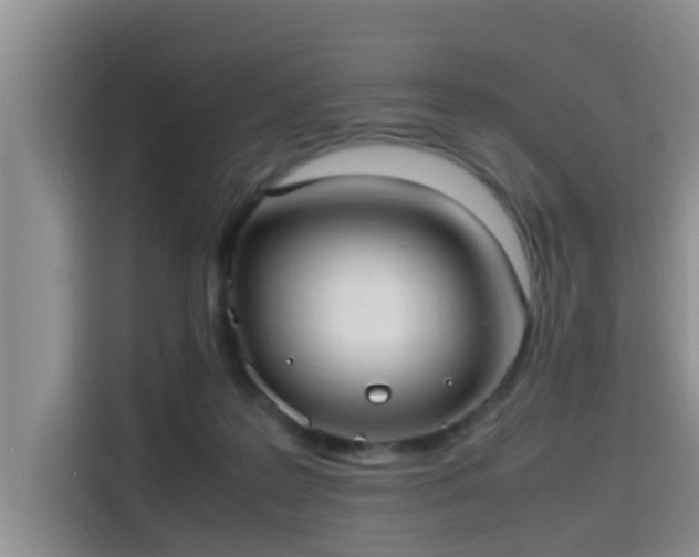 X0000115390219200911101459