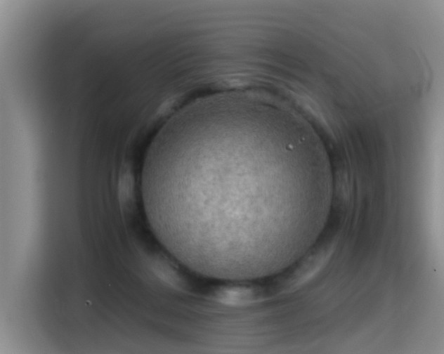 X0000115390220200911101459