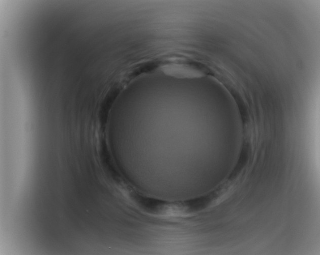 X0000115390223200911101459