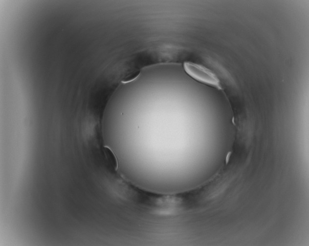 X0000115390225200911101458