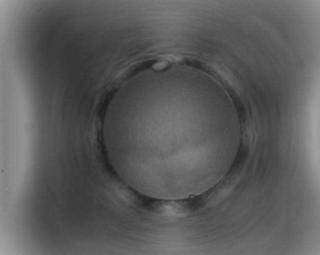 X0000115390229200911101458