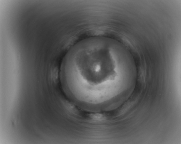 X0000115390230200911101458