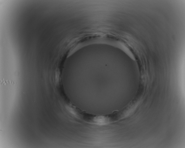 X0000115390231200911101458