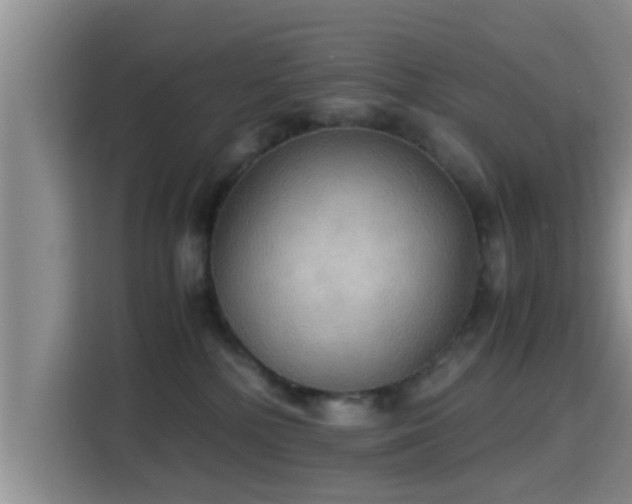 X0000115390232200911101458
