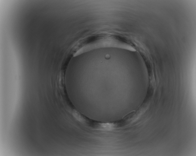 X0000115390233200911101458