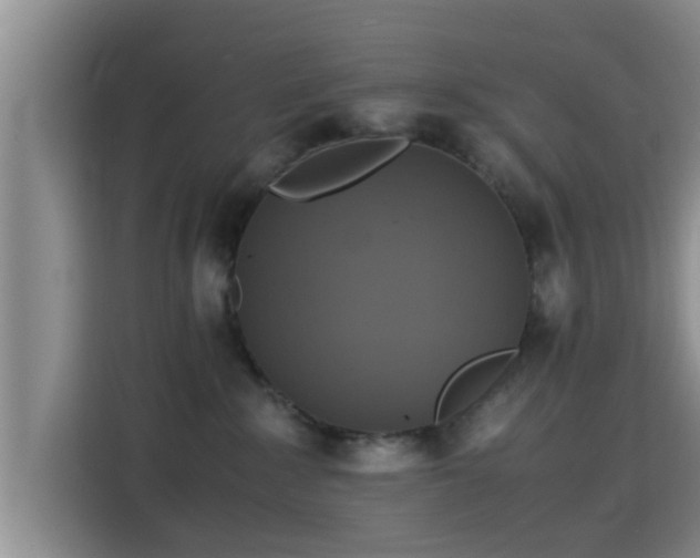 X0000115390235200911101458