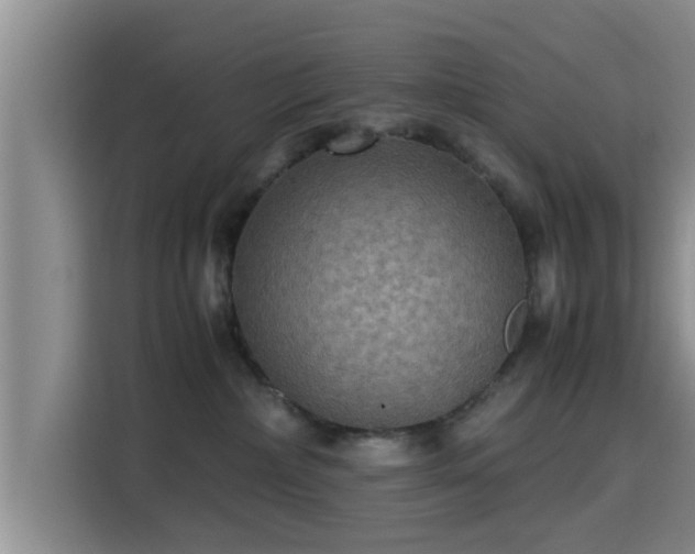 X0000115390236200911101458