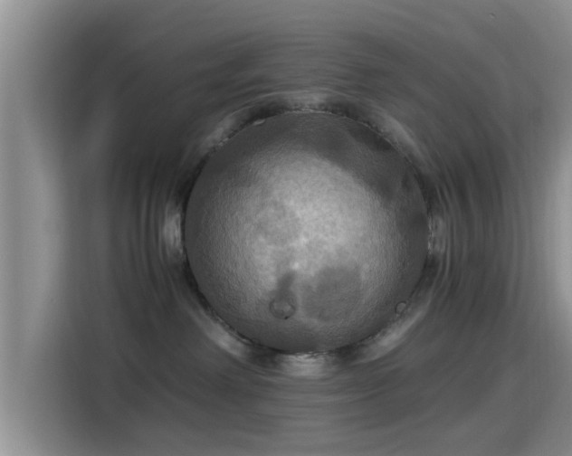 X0000115390238200911101458