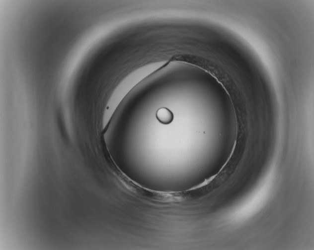 X0000115390239200911101458