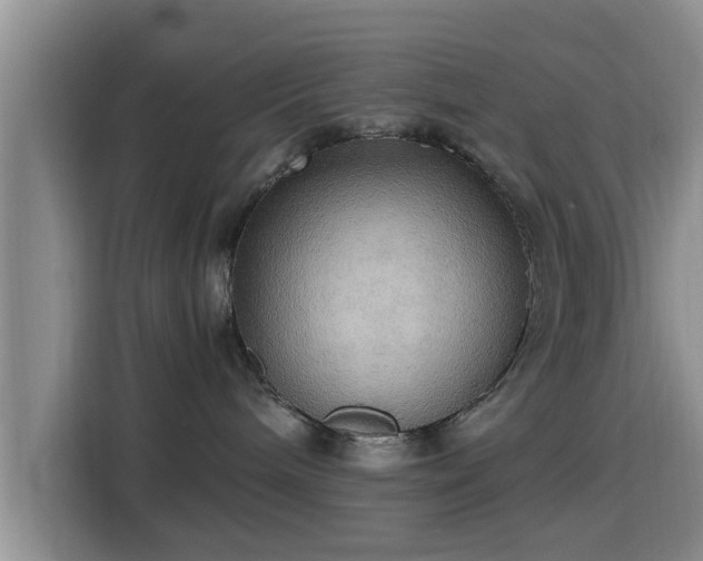 X0000115390240200911101458