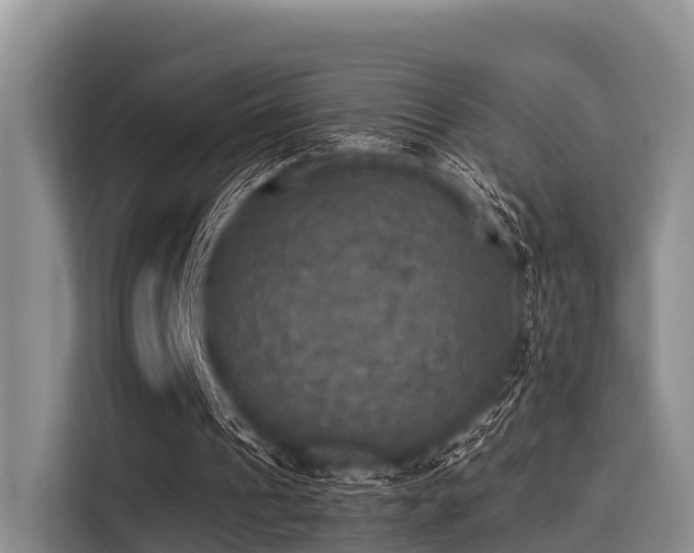 X0000115390241200911101458