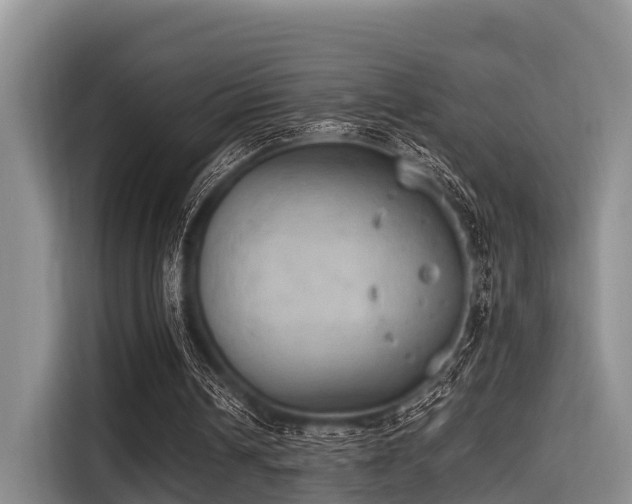 X0000115390242200911101458