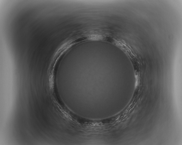X0000115390243200911101458