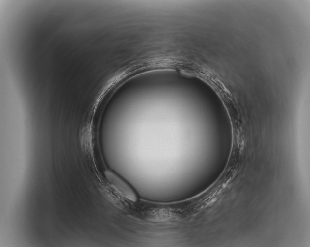 X0000115390244200911101458