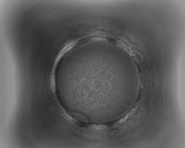 X0000115390245200911101458