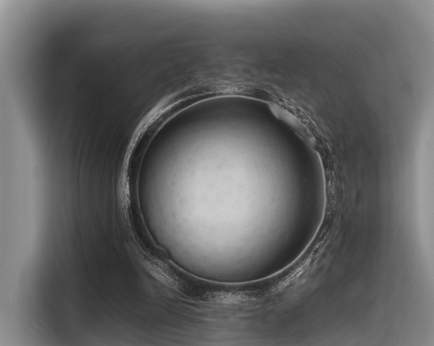 X0000115390246200911101458