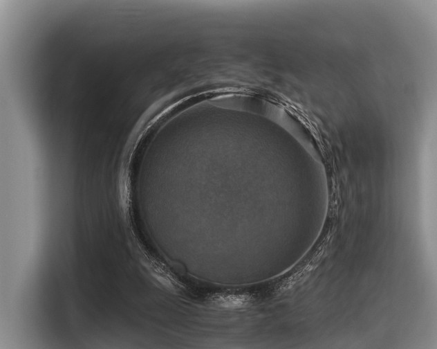 X0000115390247200911101458