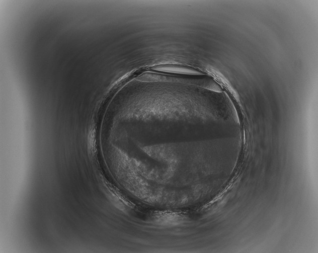 X0000115390249200911101458