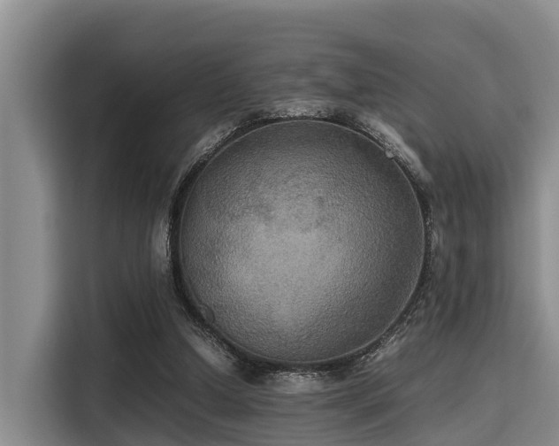 X0000115390250200911101458