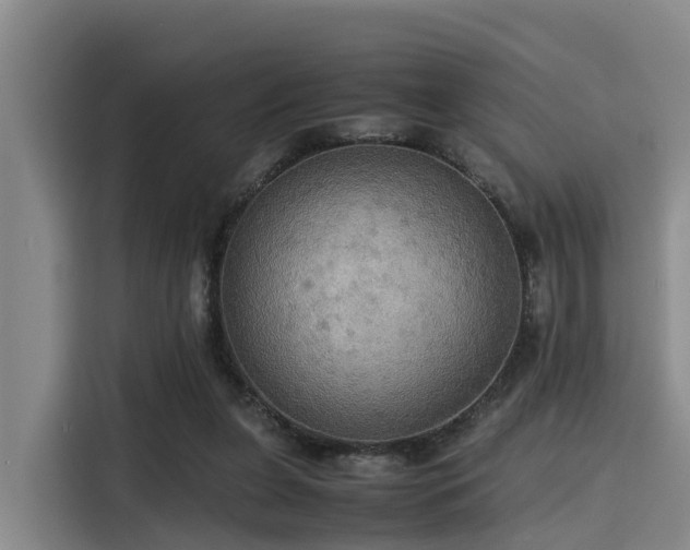 X0000115390255200911101458