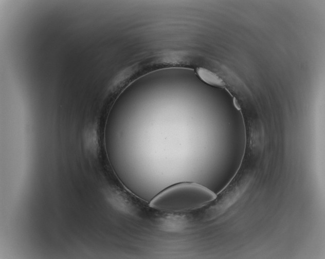 X0000115390256200911101458