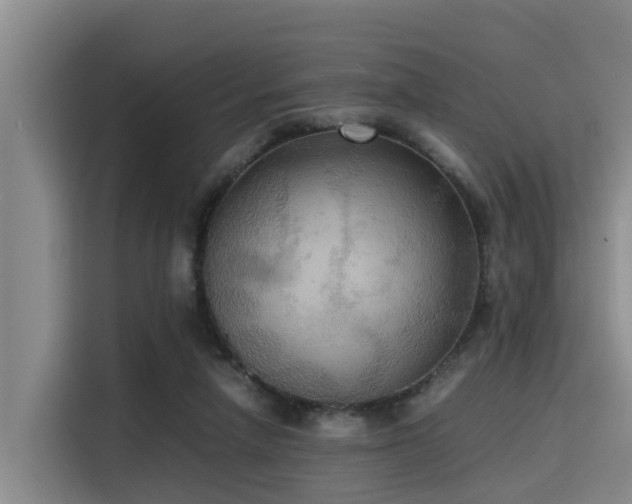 X0000115390258200911101458