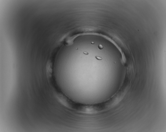 X0000115390264200911101458