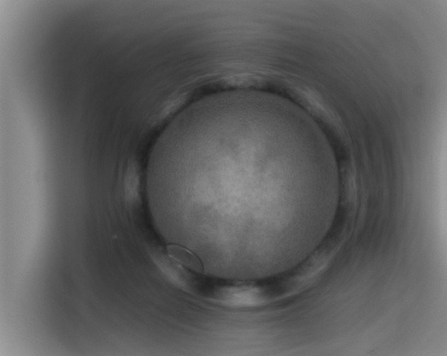 X0000115390266200911101458